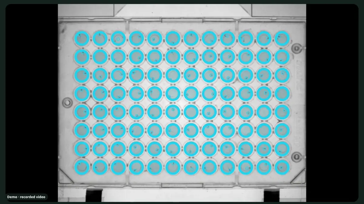 96-well plate seen from the station camera, with a zone drawn on every well